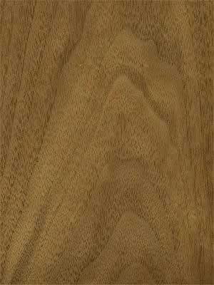 Walnut American veneer